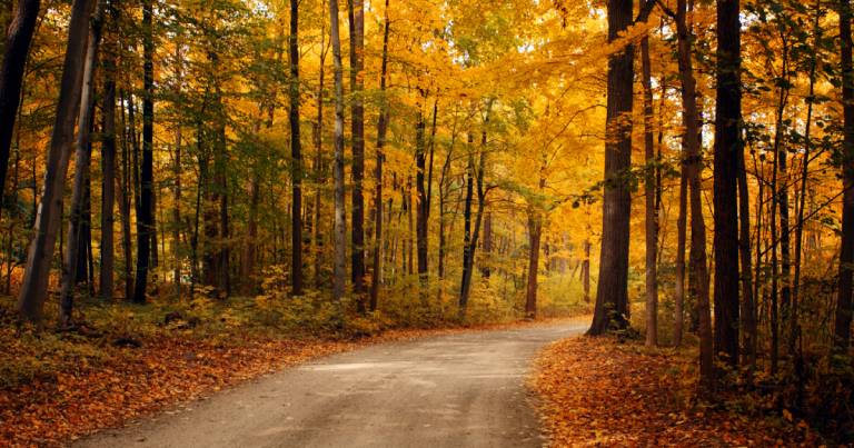 Best Places To Visit In Europe In Fall