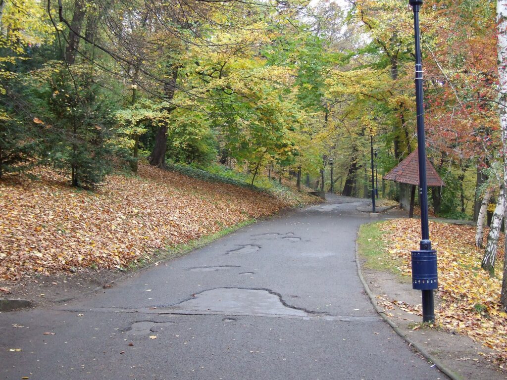 Autumn leaves on the wooded slopes of Petřín Hill in Prague