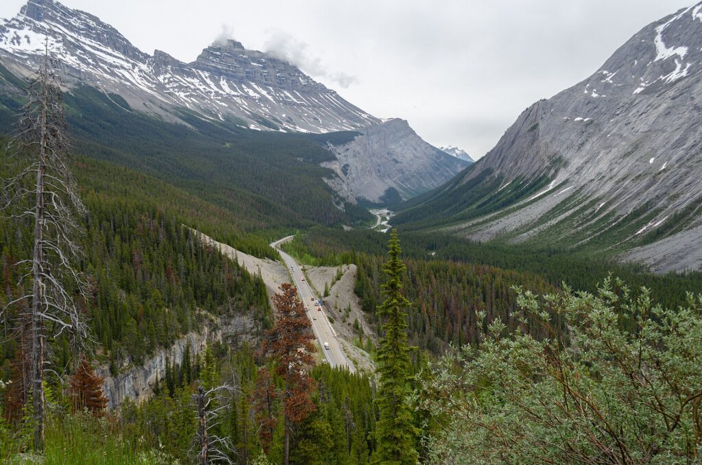 The Icefields Parkway winding through the Canadian Rockies seen from Parker Ridge