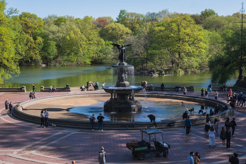 Bethesda Fountain and the Lake in Central Park