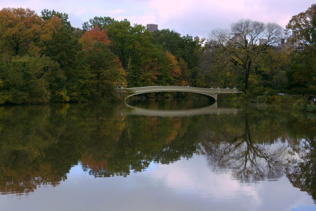 Bow Bridge in Central Park surrounded by fall color