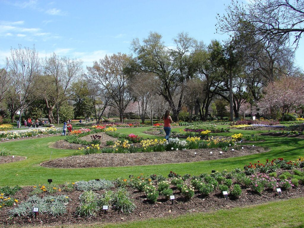 Flower beds in bloom at the Dallas Arboretum and Botanical Garden