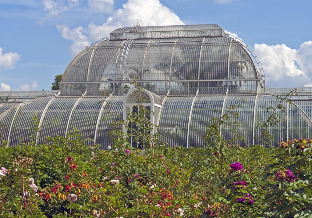 The Palm House at Kew Gardens seen across the summer gardens