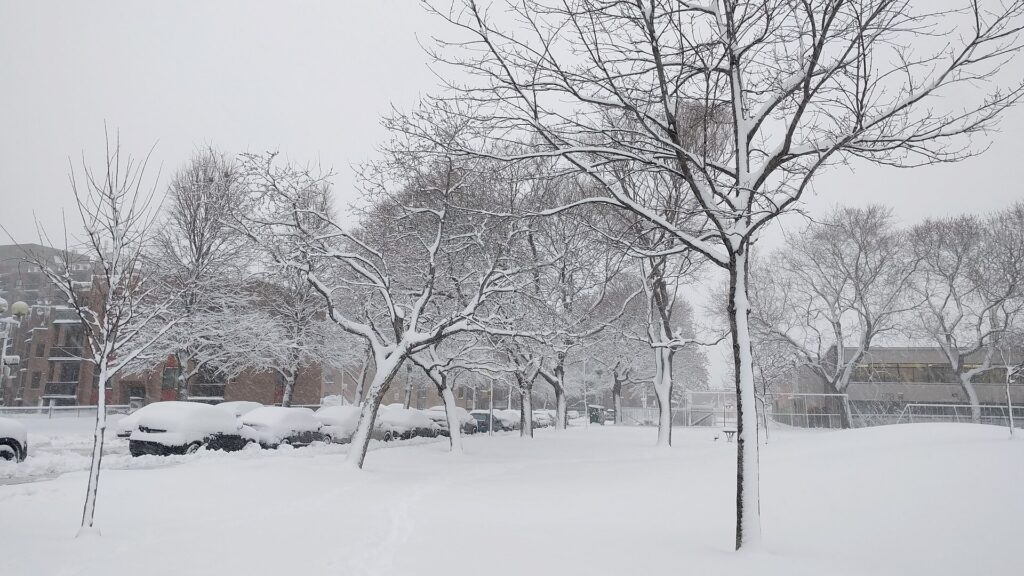 Heavy snow falling on a Montreal street in winter