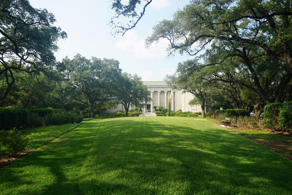 The Museum of Fine Arts, Houston in the Museum District