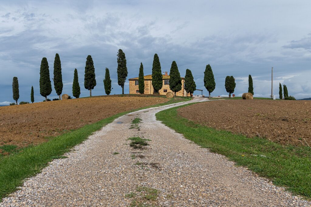 A country road leading to cypress trees and a farmhouse in the Val d'Orcia, Tuscany