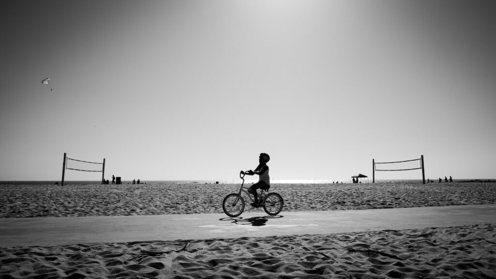 Venice Beach on a sunny day in Los Angeles