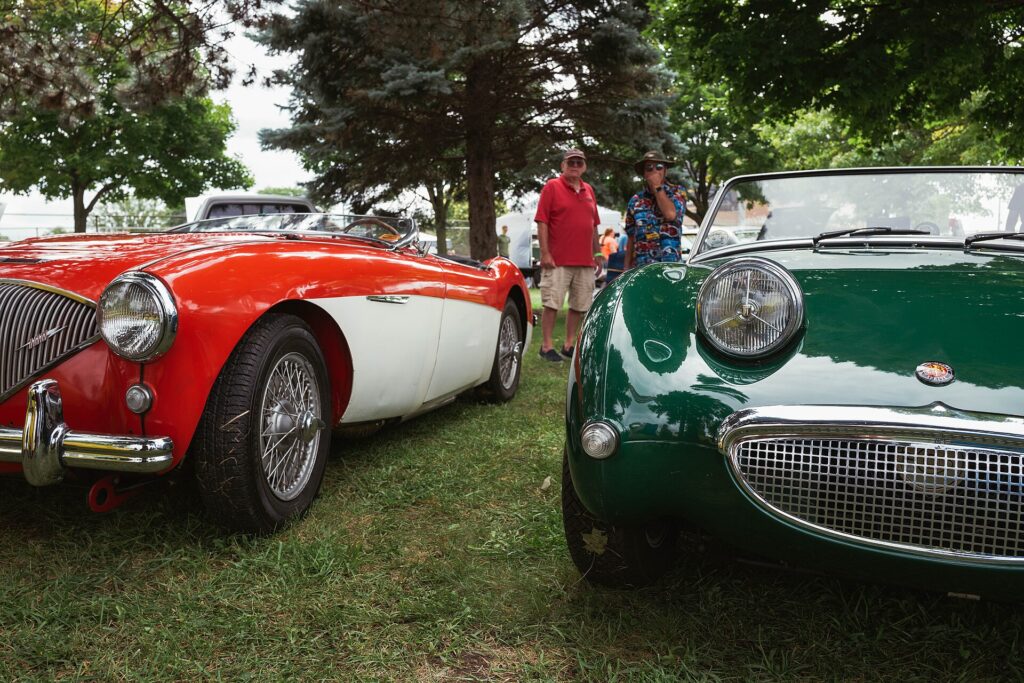 Classic Austin-Healey sports cars at the Woodward Dream Cruise